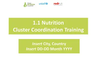 Nutrition Cluster Coordination Training in City, Country