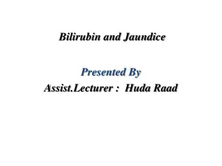 Understanding Bilirubin and Jaundice: Types, Symptoms, and Treatment