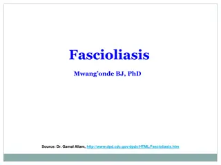 Understanding Fascioliasis: Causes, Symptoms, and Treatment