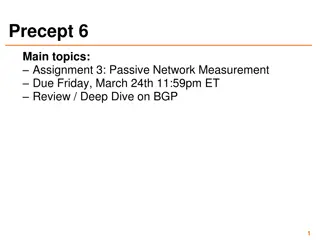 Passive Network Measurement Techniques