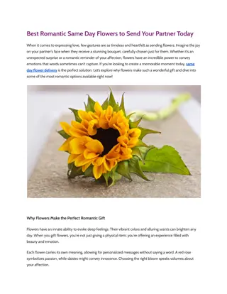 Best Romantic Same Day Flowers to Send Your Partner Today