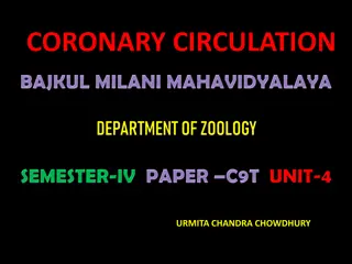 Understanding Coronary Circulation: An In-depth Overview