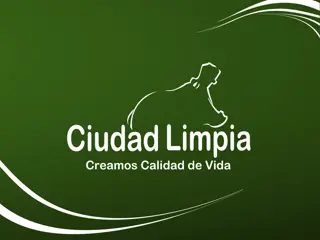 Structure and Operations of Cost Centers in Grupo Ciudad Limpia