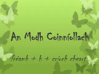 Mastering Irish Verbs: Conjugation and Usage Guide