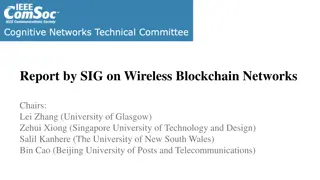 Wireless Blockchain Networks Report by SIG Chairs