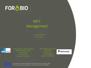 Utilising Underutilised Land for Sustainable Bioenergy Production