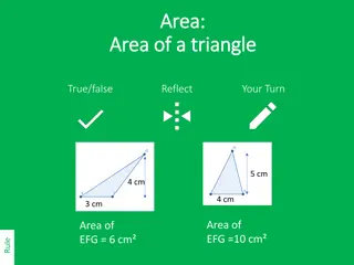Area of Triangles and Rectangles Practice