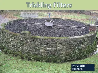 Trickling Filters in Wastewater Treatment