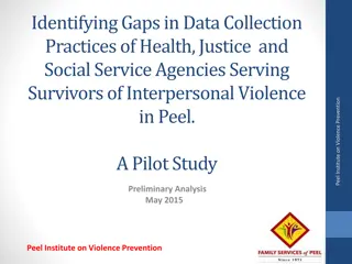 Improving Data Collection Practices for Interpersonal Violence Services in Peel
