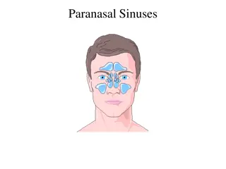 Paranasal Sinuses Overview