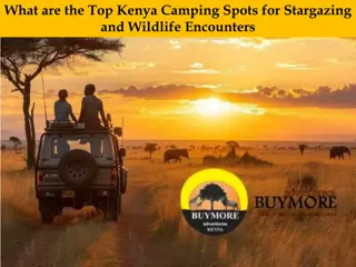 What are the Top Kenya Camping Spots for Stargazing and Wildlife Encounters
