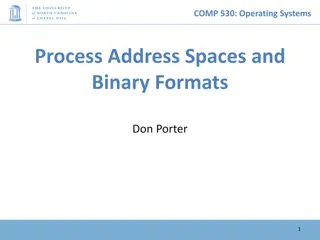 Virtual Memory Organization in Operating Systems