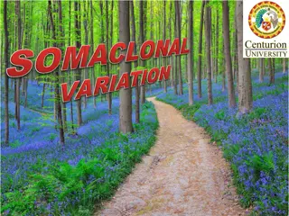 Understanding Somaclonal Variation in Plants