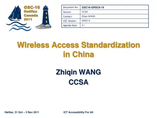 Wireless Access Standardization in China Overview