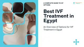 IVF in Egypt | World Fertility Services