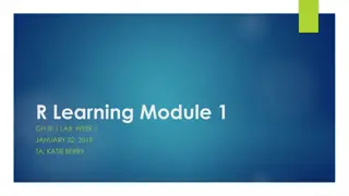 R Studio Interface Overview