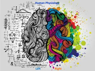 Understanding Human Physiology