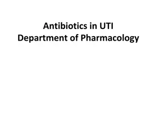 Understanding Urinary Tract Infections and Antibiotic Treatment