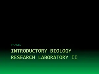 Phages Genomics and Annotation Principles