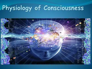 Understanding Levels of Consciousness & Brain Structures