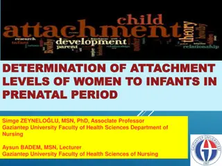 Understanding Prenatal Attachment Levels in Women