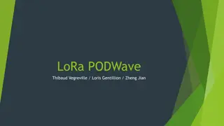 LoRa PODWave Project Overview