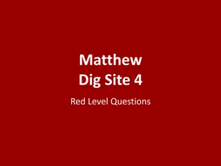 Matthew Dig Site 4 Red Level Questions
