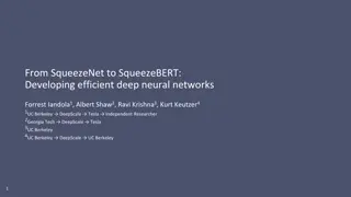 Efficient Neural Networks in Computer Vision Research