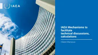 Mechanisms to Facilitate Technical Discussions at IAEA