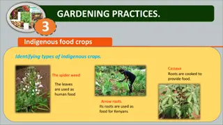 Indigenous Food Crops and Gardening Tips