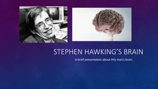 Fascinating Insights into Stephen Hawking's Brain