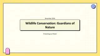 Guardians of Nature: Wildlife Conservation Insights