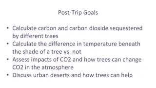 Tree Impact Analysis & Carbon Sequestration