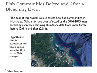Northeast Oahu Fish Community Assessment