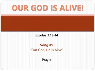 Alive in Worship: Songs and Scriptures