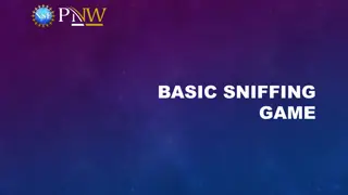 Understanding Network Sniffing and TCP Packets