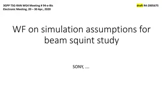 Derivation of Simulation Assumptions for Beam Squint Study
