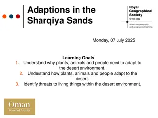 Desert Adaptations: Learning About Survival in Sharqiya Sands