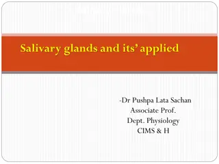 Understanding Salivary Glands and Their Functions