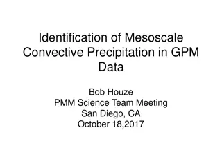 Mesoscale Convective Precipitation Identification in GPM Data