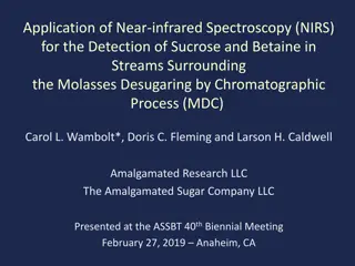 Application of NIR Spectroscopy in Molasses Desugaring Process
