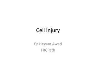 Understanding Cell Injury and Causes: Insights by Dr. Heyam Awad
