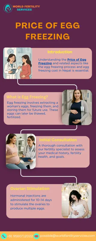 Price Of Egg Freezing