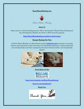 Pets’ Energy Healing