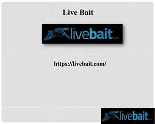 Cast Net, livebait.com