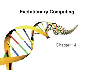 Interactive Evolutionary Algorithms Overview