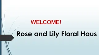Best Wedding Florist in Ardross