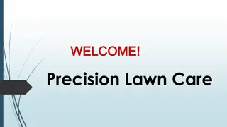 Best Lawn Renovations in Regentville