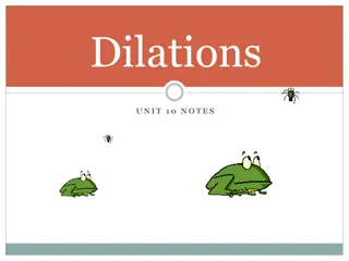 Understanding Dilations and Rigid Transformations in Mathematics