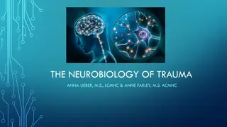 Understanding Trauma's Impact on the Brain: A Comprehensive Overview.